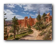 Bryce Canyon NP 42.jpg